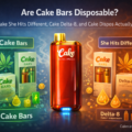 Are Cake Bars Disposable